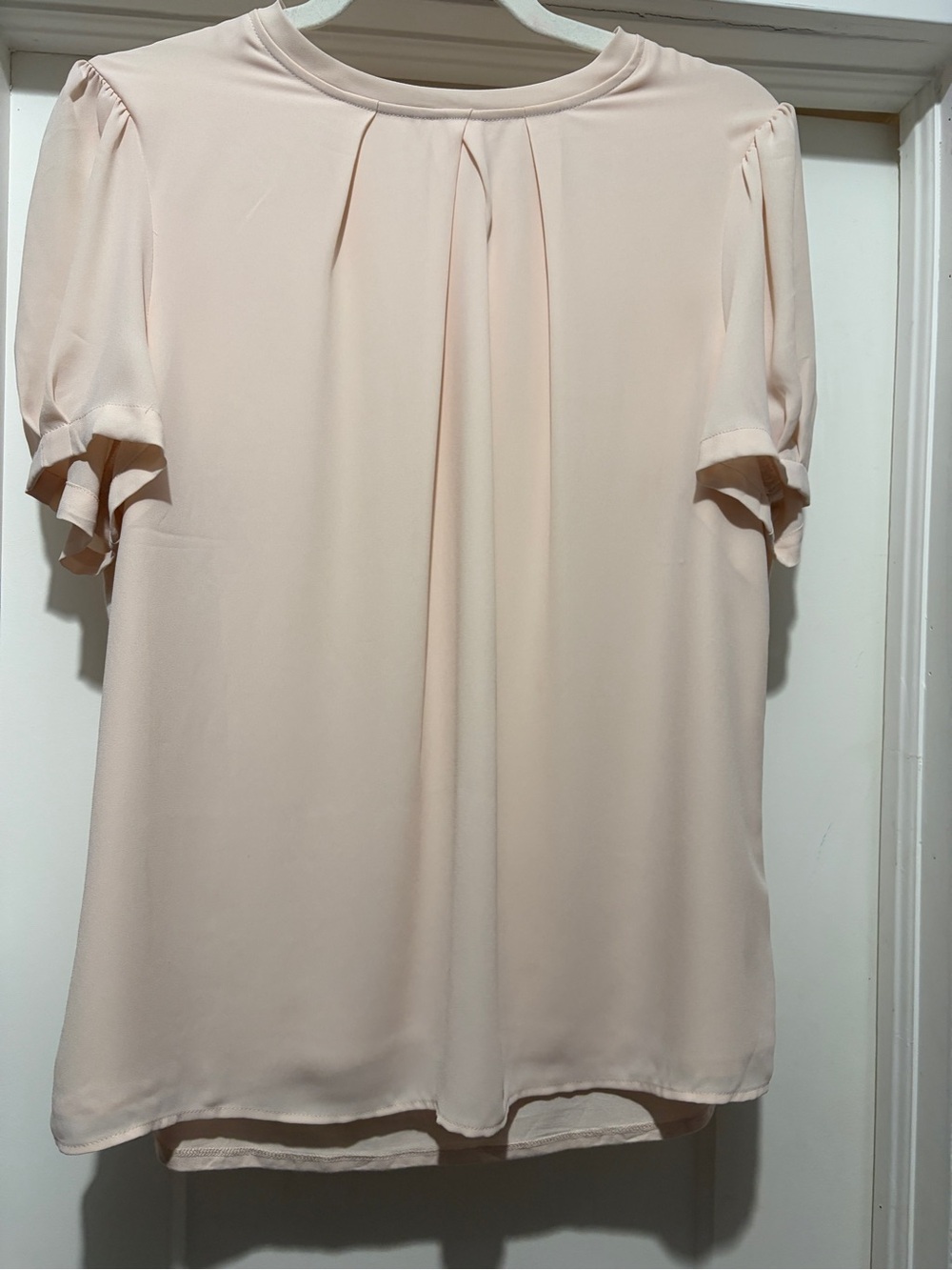 RW&CO. Pale Blush Pleated Short Sleeve Blouse